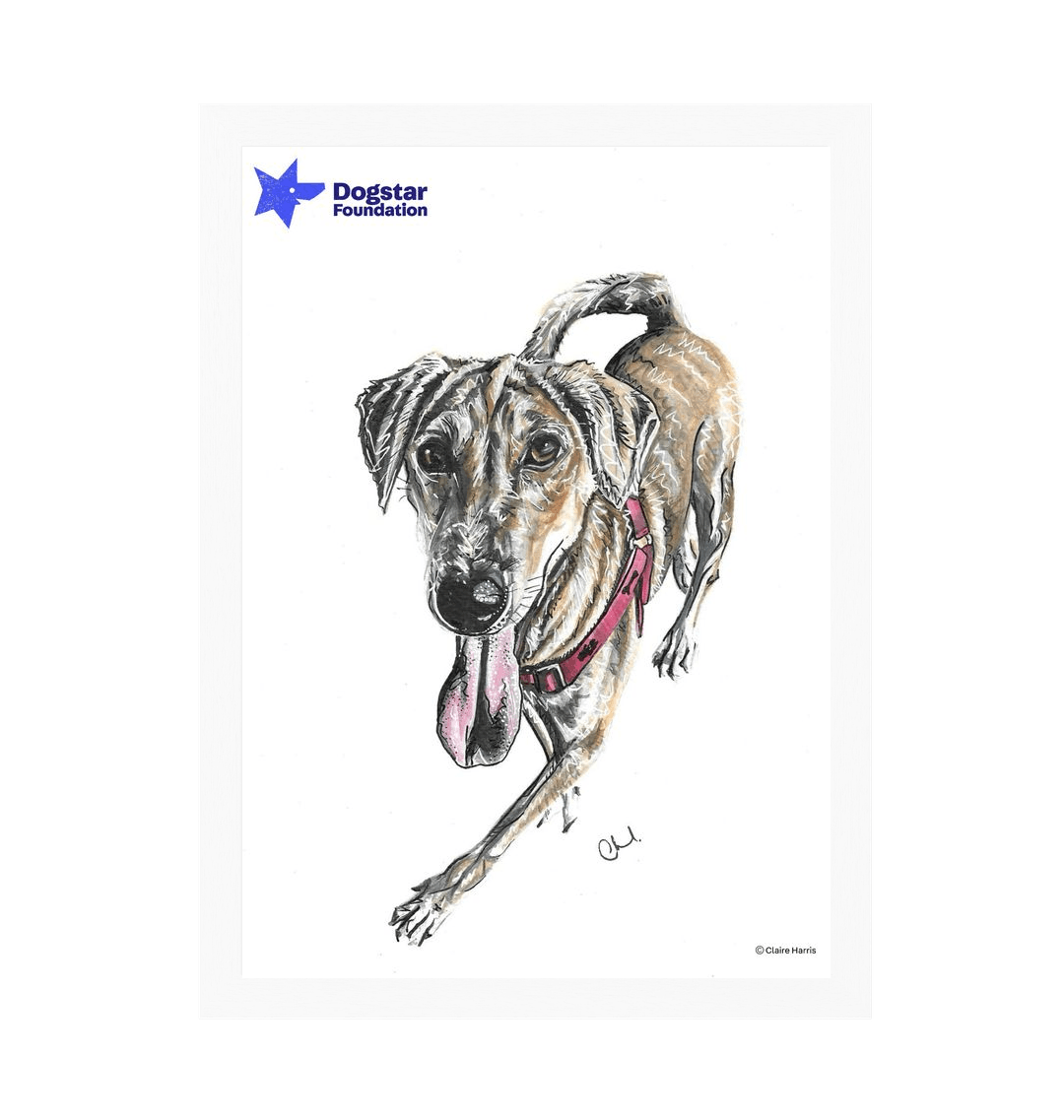 White Frame Framed art print Front