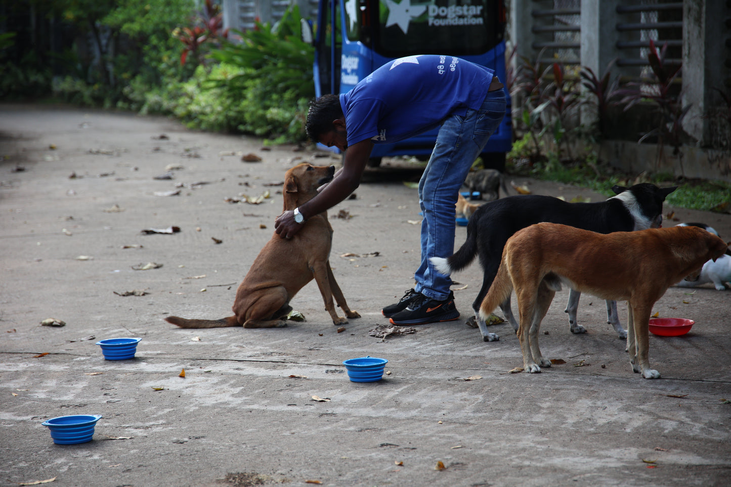 Virtual Mother's Day Gift - Gift a Mange Treatment
