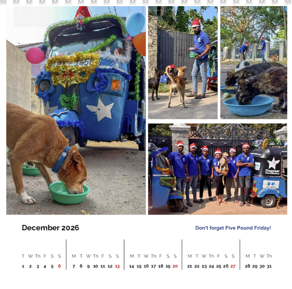 2026 Dogstar Desk Calendar