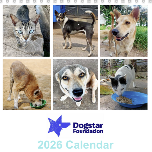 2026 Dogstar Desk Calendar