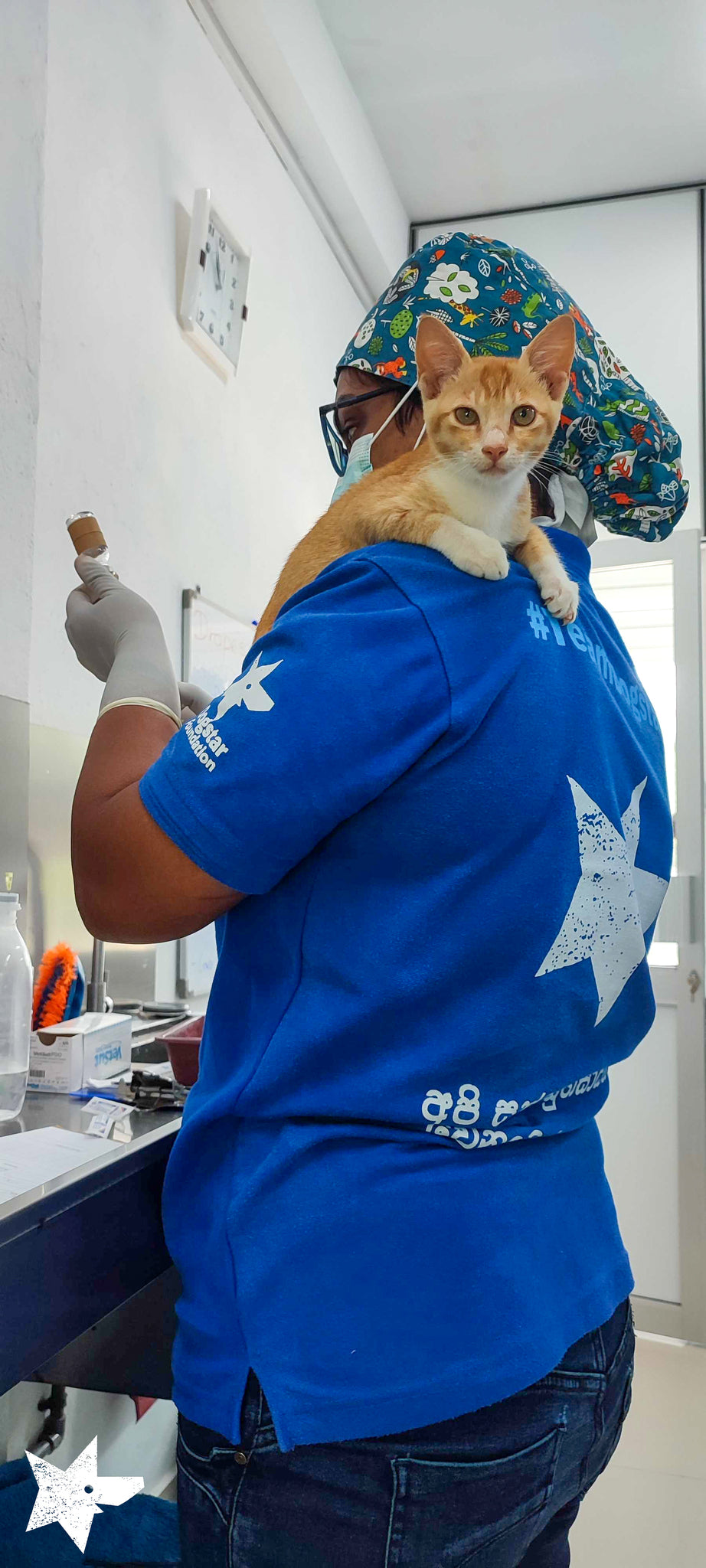 Virtual Christmas Gift - Sterilise a Sri Lankan Street Cat