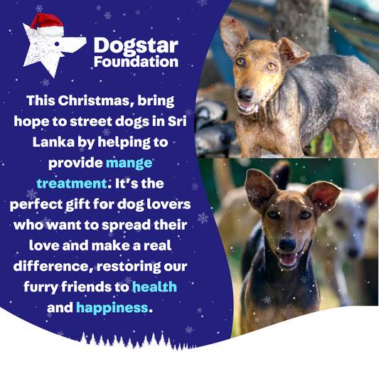 Virtual Christmas Gift - Gift a Mange Treatment