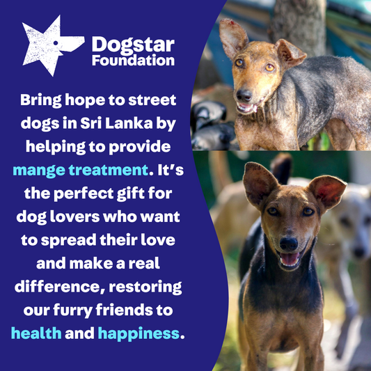 Virtual Gift - Gift a Mange Treatment