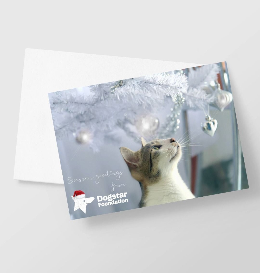 Dogstar Foundation Christmas Card