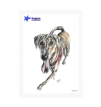 White Frame Framed art print Front