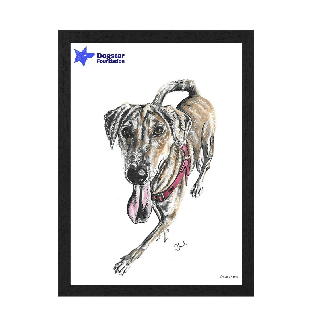 Black Frame Framed art print Front