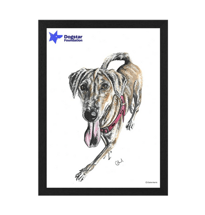 Black Frame Framed art print Front