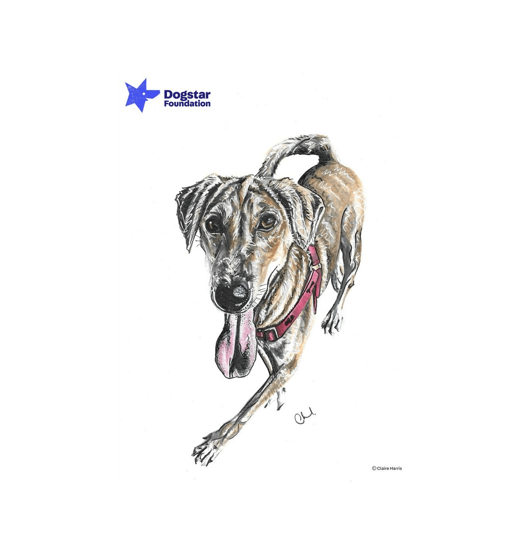 No Frame Framed art print Front