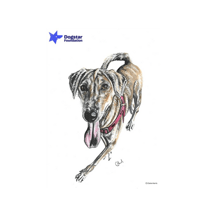 No Frame Framed art print Front