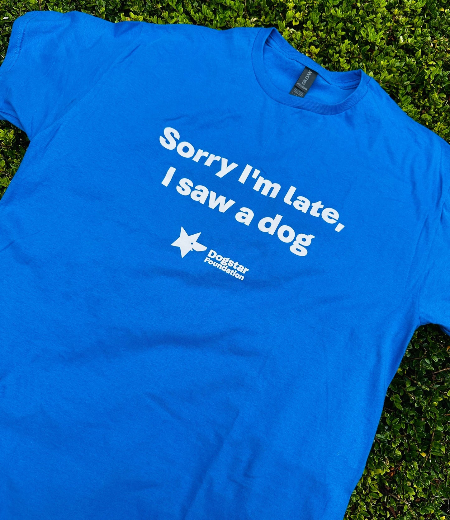 'Sorry I’m late, I saw a dog' Unisex Slogan T-shirt