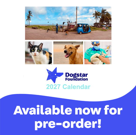 2027 Dogstar Desk Calendar