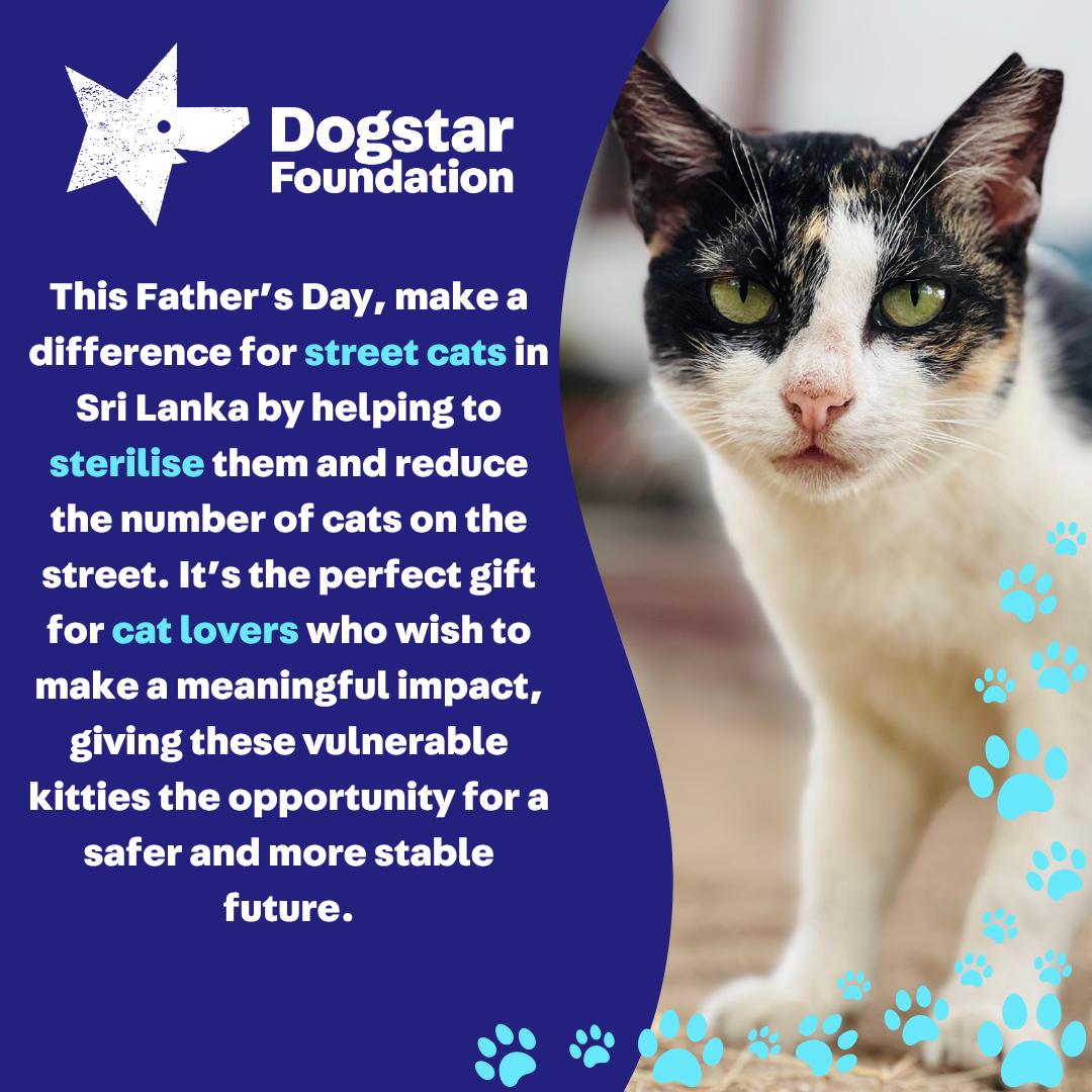Virtual Father's Day Gift - Sterilise a Sri Lankan Street Cat