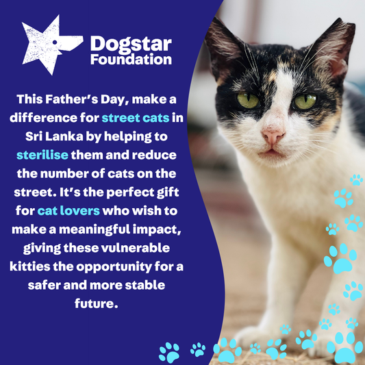 Virtual Father's Day Gift - Sterilise a Sri Lankan Street Cat