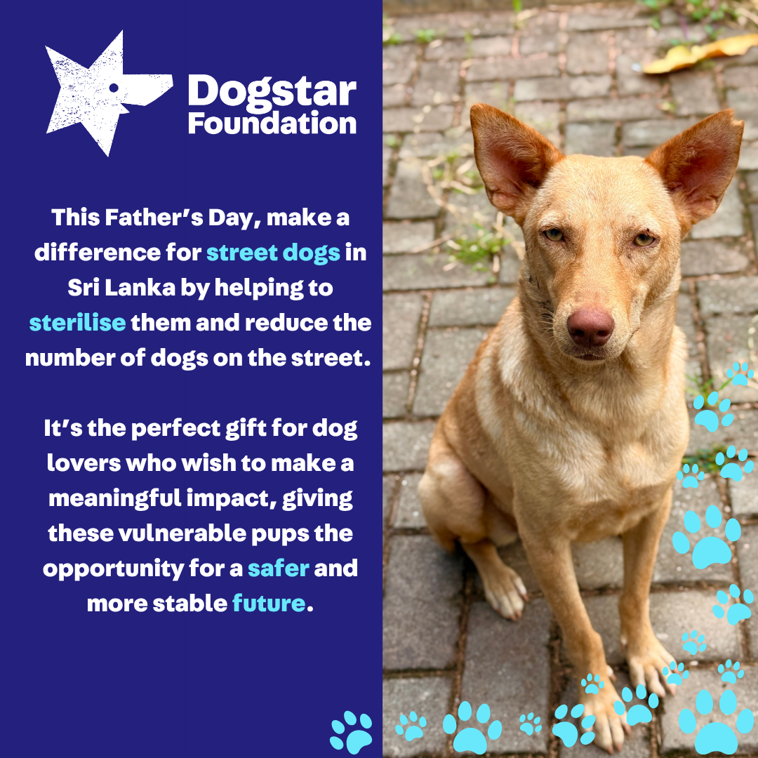 Virtual Father's Day Gift - Sterilise a Sri Lankan Street Dog
