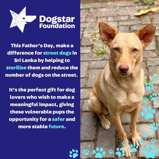 Virtual Father's Day Gift - Sterilise a Sri Lankan Street Dog