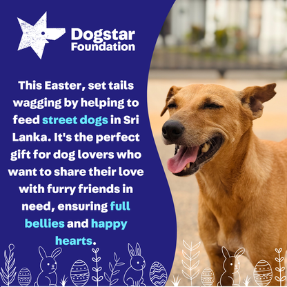 Virtual Easter Gift - Feed Sri Lankan Street Dogs