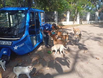Virtual Father's Day Gift - Feed Sri Lankan Street Dogs
