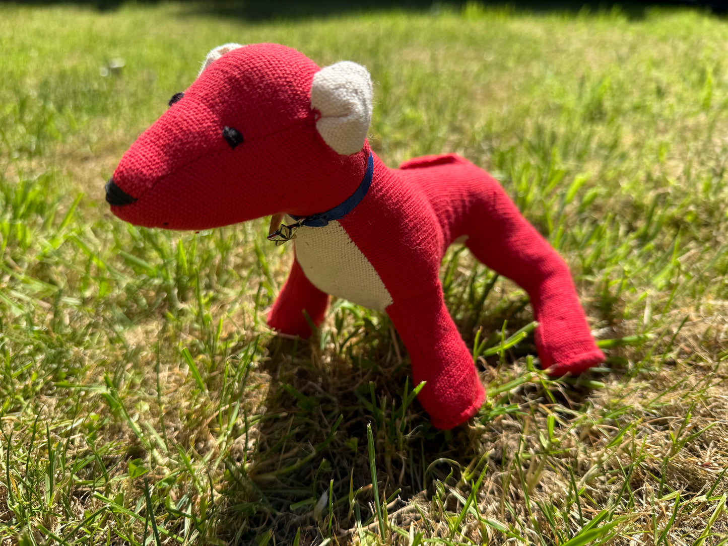 Red colour fabric Dogstar - PICKLE