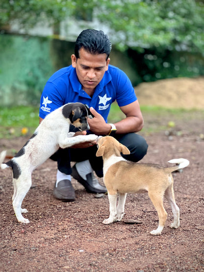 Virtual Father's Day Gift - Sterilise a Sri Lankan Street Dog