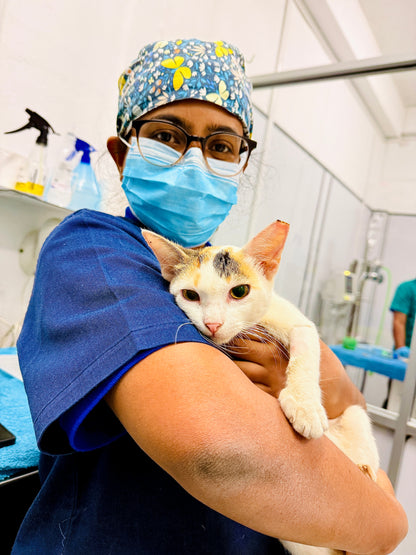 Virtual Gift - Rabies Vaccine for a Sri Lankan Street Cat