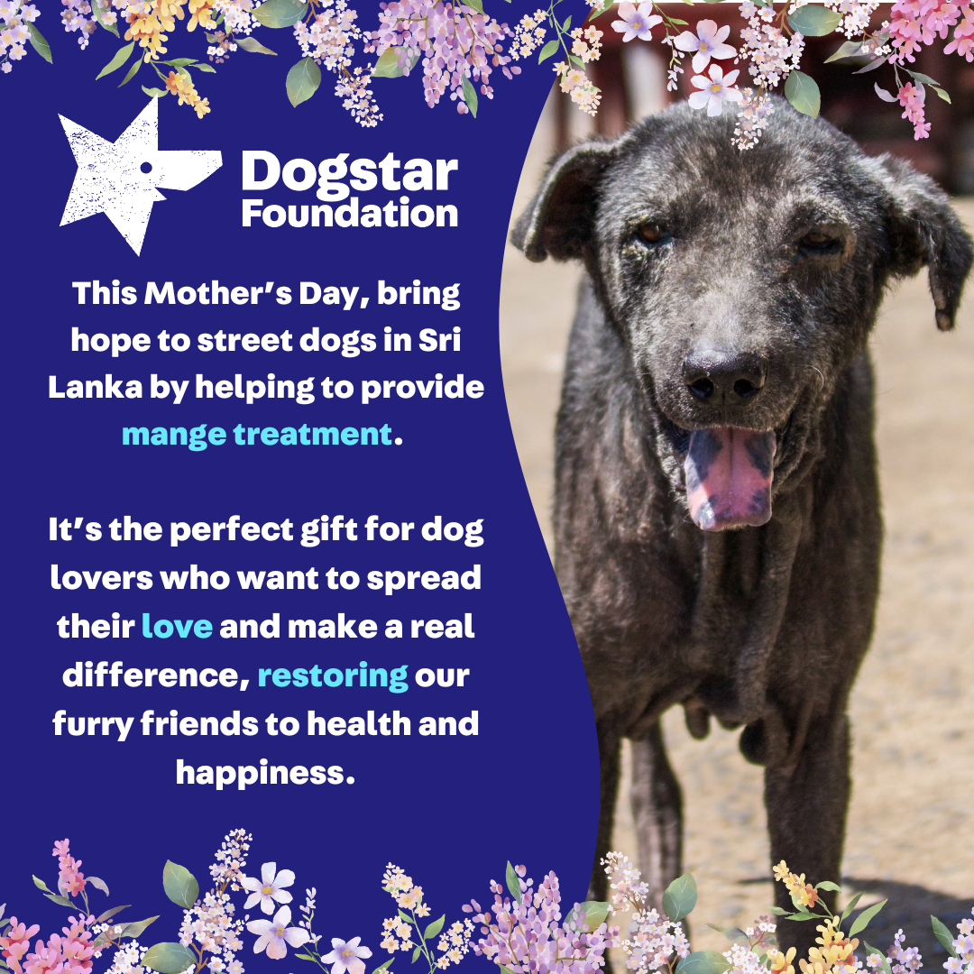 Virtual Mother's Day Gift - Gift a Mange Treatment