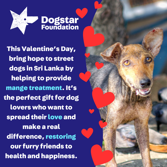 Virtual Valentine's Day Gift - Gift a Mange Treatment