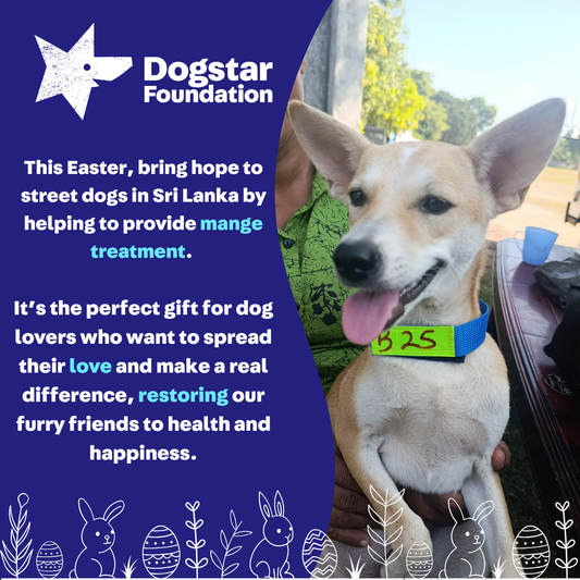 Virtual Easter Gift - Gift a Mange Treatment