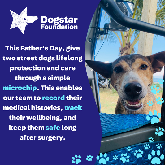 Virtual Father's Day Gift - Microchip Two Dogs
