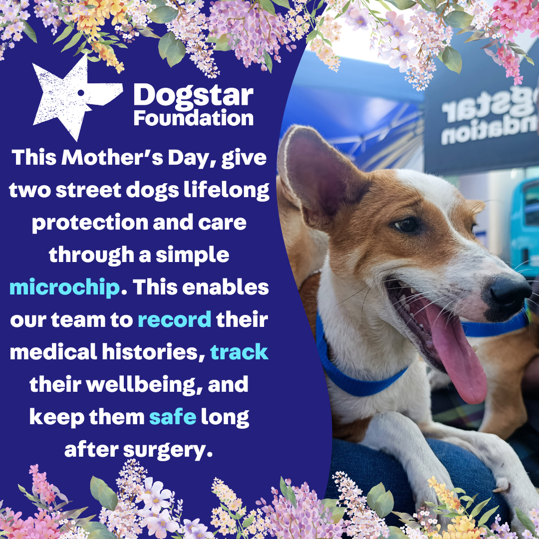 Virtual Mother's Day Gift - Microchip Two Dogs