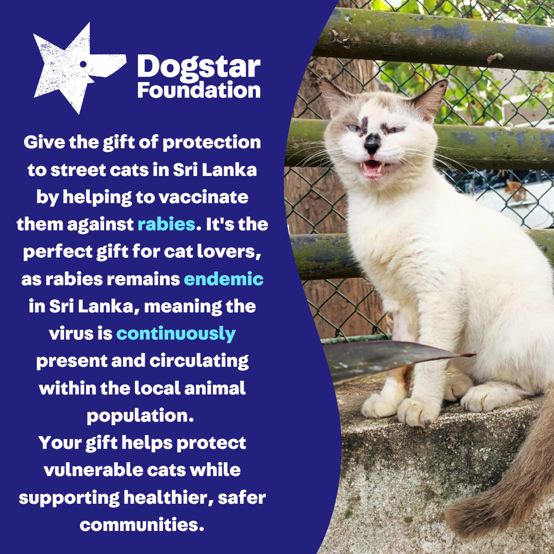 Virtual Gift - Rabies Vaccine for a Sri Lankan Street Cat