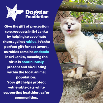 Virtual Gift - Rabies Vaccine for a Sri Lankan Street Cat