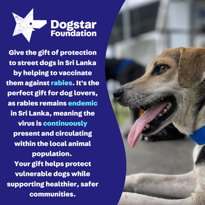 Virtual Gift - Rabies Vaccine for a Sri Lankan Street Dog
