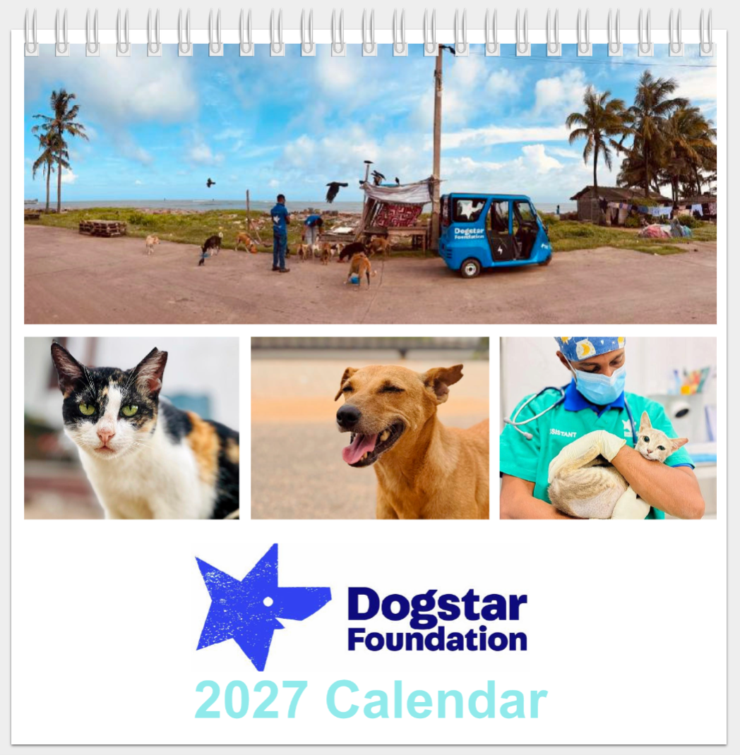2027 Dogstar Desk Calendar