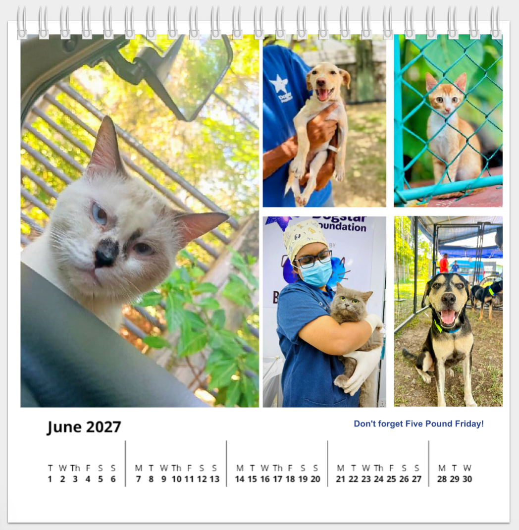 2027 Dogstar Desk Calendar