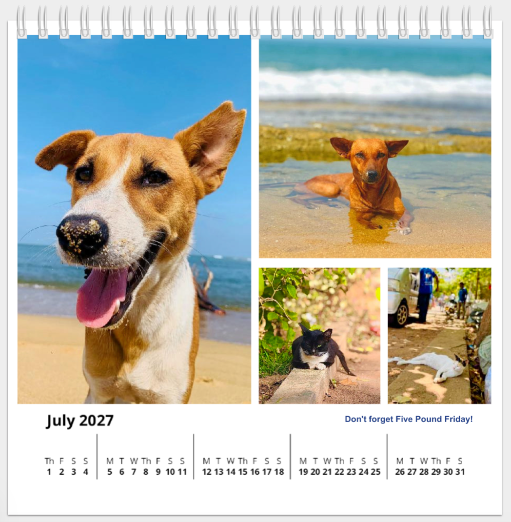 2027 Dogstar Desk Calendar