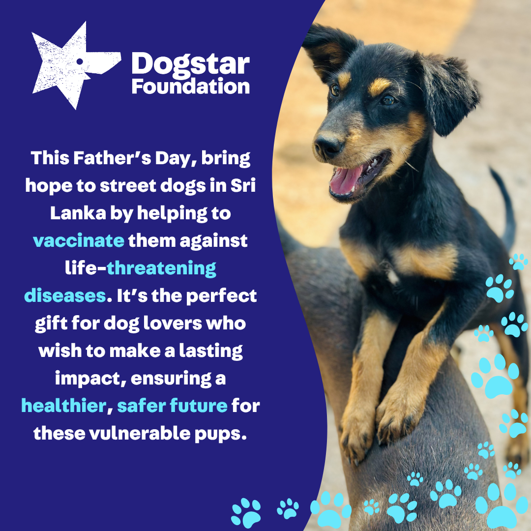 Virtual Father's Day Gift - Vaccinate a Sri Lankan Street Dog