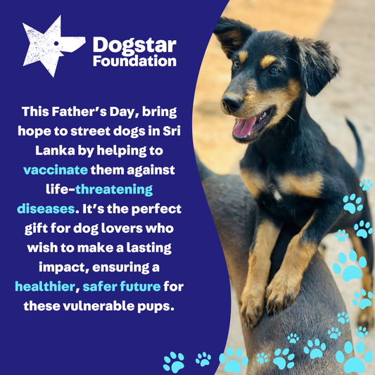 Virtual Father's Day Gift - Vaccinate a Sri Lankan Street Dog