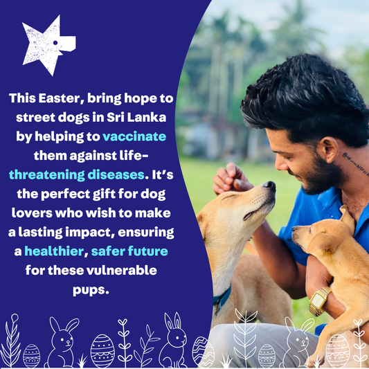 Virtual Easter Gift - Vaccinate a Sri Lankan Street Dog