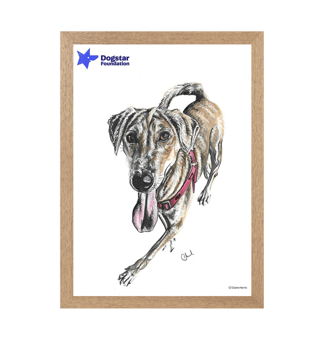 Natural Frame Framed art print Front