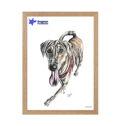 Natural Frame Framed art print Front