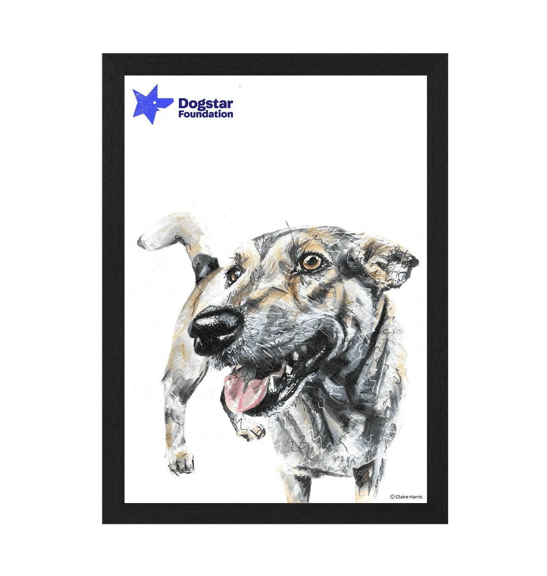 Black Frame Framed art print Front