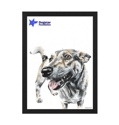 Black Frame Framed art print Front