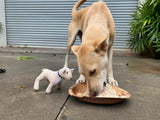 💙 Meals on 3 wheels  🛺 Feed 100 dogs a tasty meal - Gift e-Card 💙