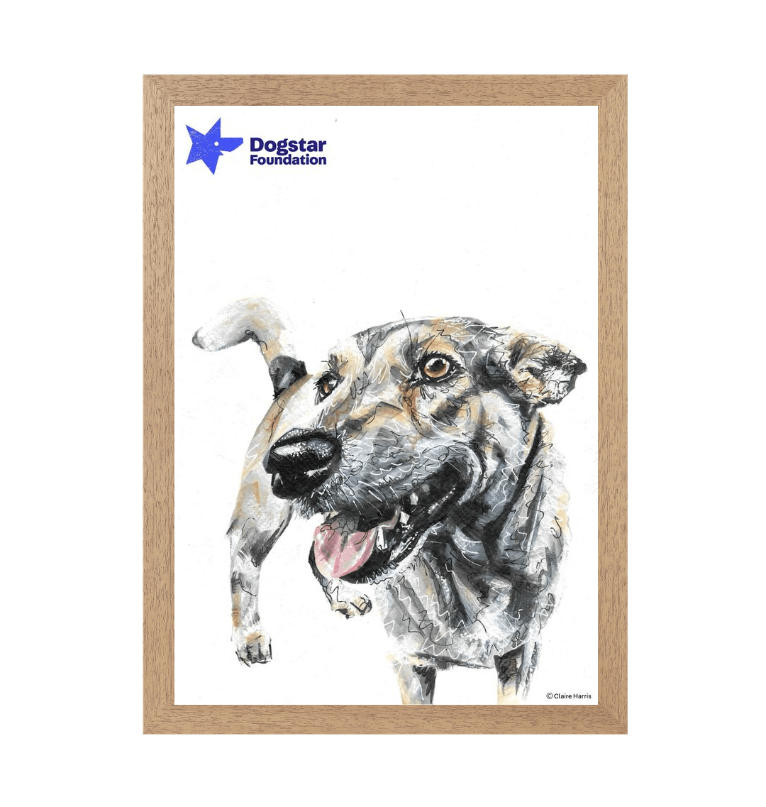 Natural Frame Framed art print Front