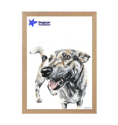 Natural Frame Framed art print Front