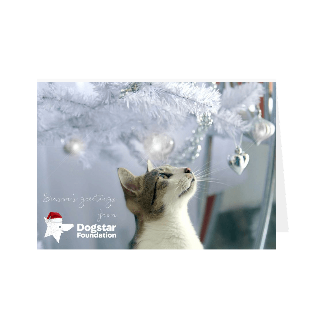 White Dogstar Foundation Christmas Card