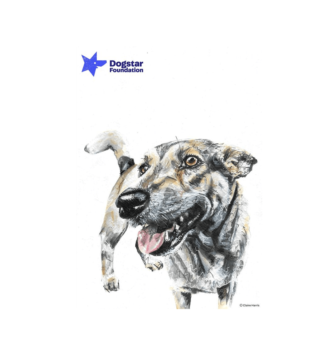 No Frame Framed art print Front