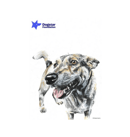 No Frame Framed art print Front