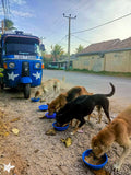 💙 Meals on 3 wheels  🛺 Feed 70 dogs a tasty meal - Gift e-Card 💙