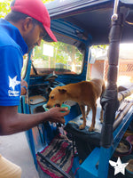 💙 Meals on 3 wheels  🛺 Feed 80 dogs a tasty meal - Gift e-Card 💙